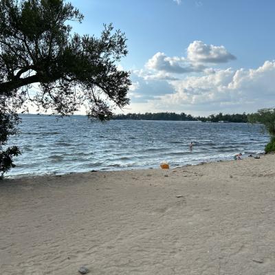Sandy Beach With Tree Shade