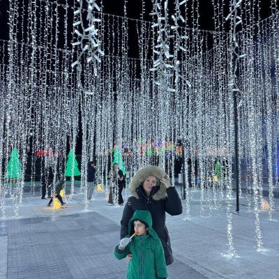 Festilumi Light Festival Montreal