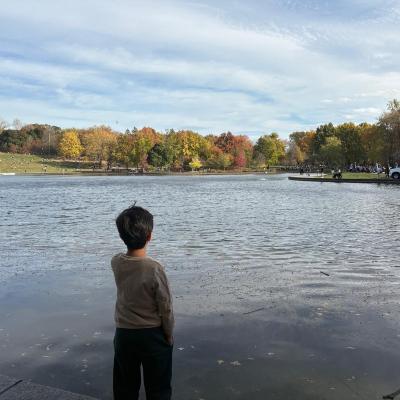 Mount Royal Park, Montreal