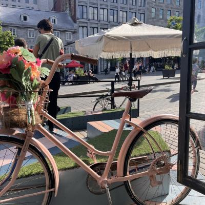 Quebec City View From Cafe