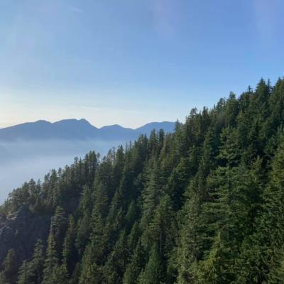 Forest Ridge Overlooking Mountains