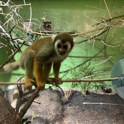 Manitoba Zoo Assiniboine Park