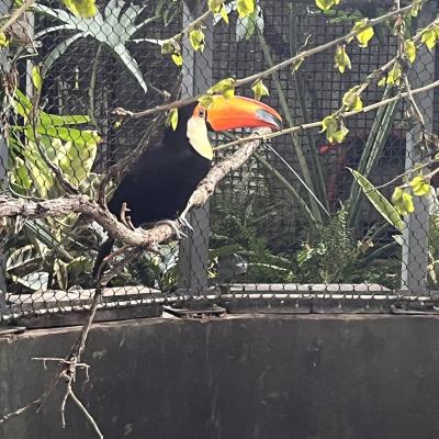 Manitoba Zoo Assiniboine Park