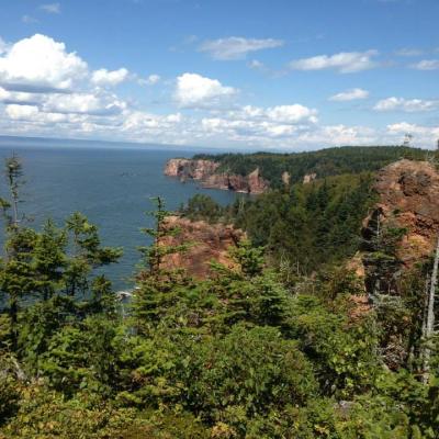 Cliffs And Forest Coastline