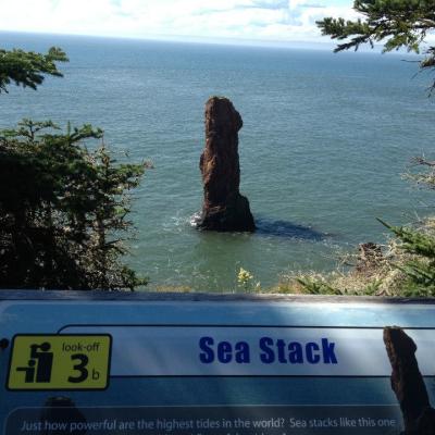 Rocky Sea Stack View